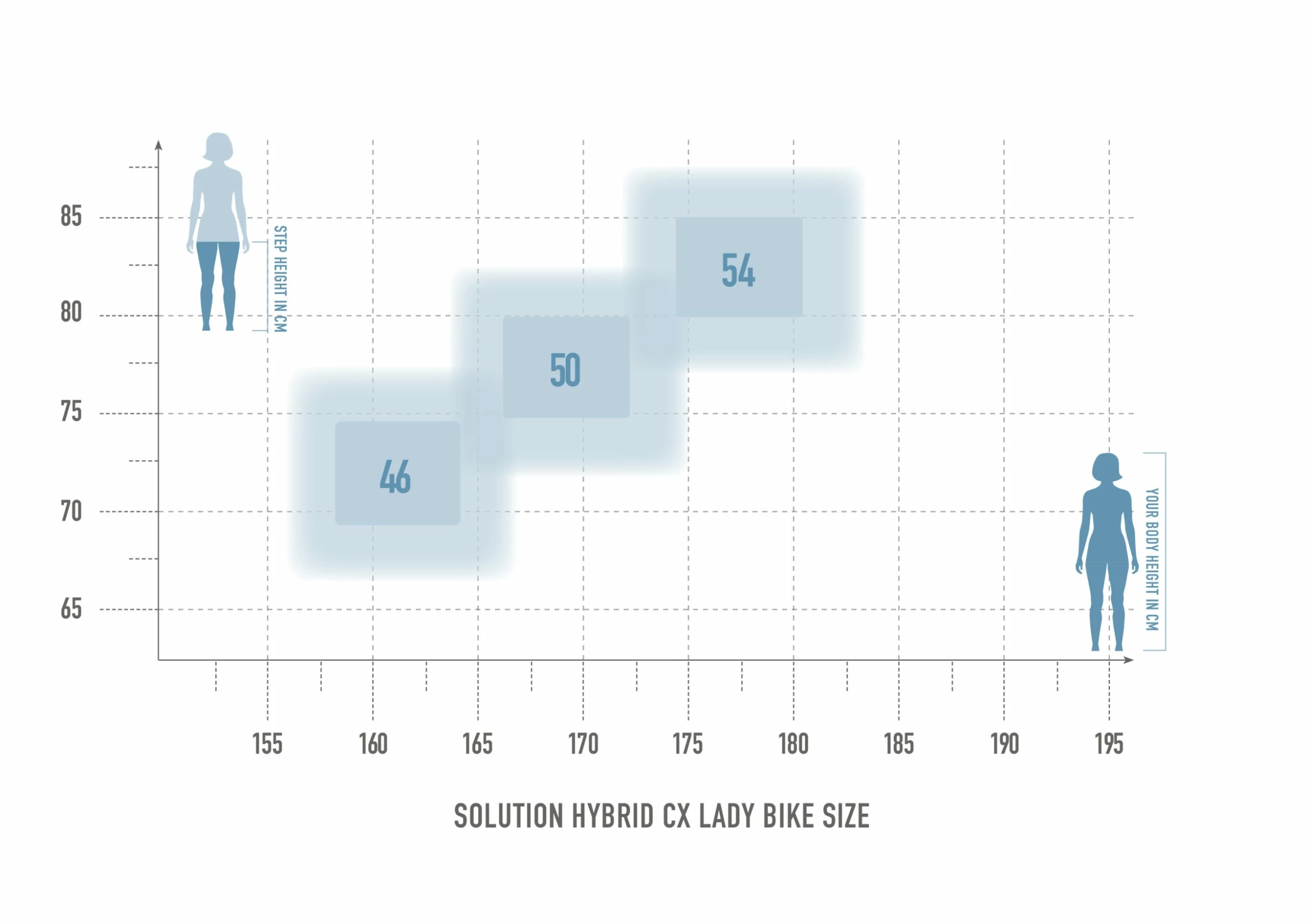 Radon Solution Hybrid 8.0 Lady CX 500 – Image 2