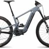 Santa Cruz Heckler C S