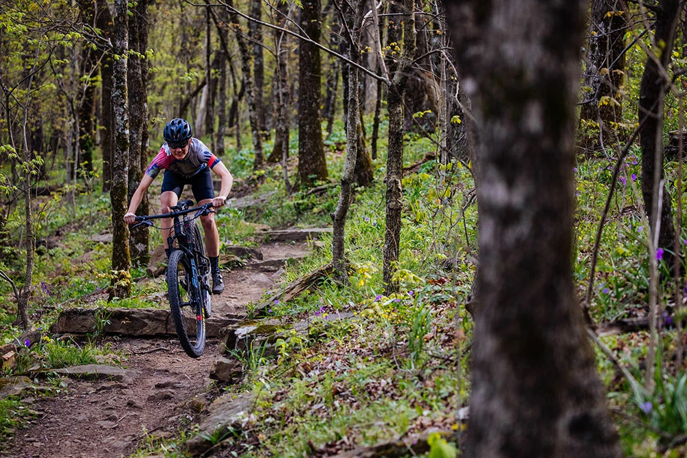 Santa Cruz Blur C S Trail – Image 2