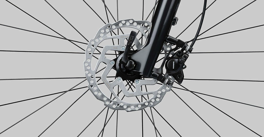 Radon Scart Light 9.0 – Image 6