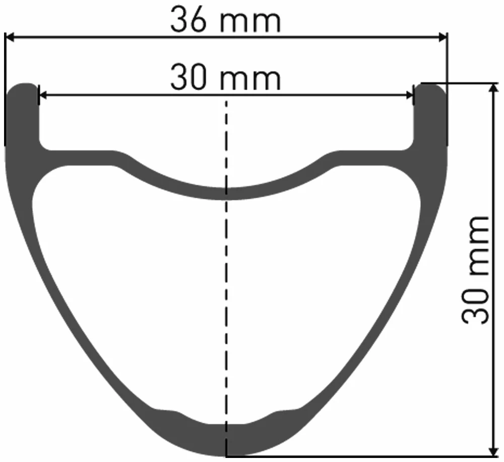 Dt-swiss Roue Arrière XMC 1200 Spline® 29" 30mm CL Boost – Image 2