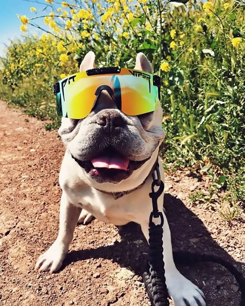 Pit Viper The Originals Monster Bull / Polarized Orange Revo Mirror - Lunettes De Soleil – Image 4