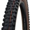 Schwalbe Hans Dampf Evo Super Trail 29x2,60" Addix E-25 Pneus Pliants